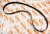 5260381 Приводной ребристый ремень BELT V RIBBED